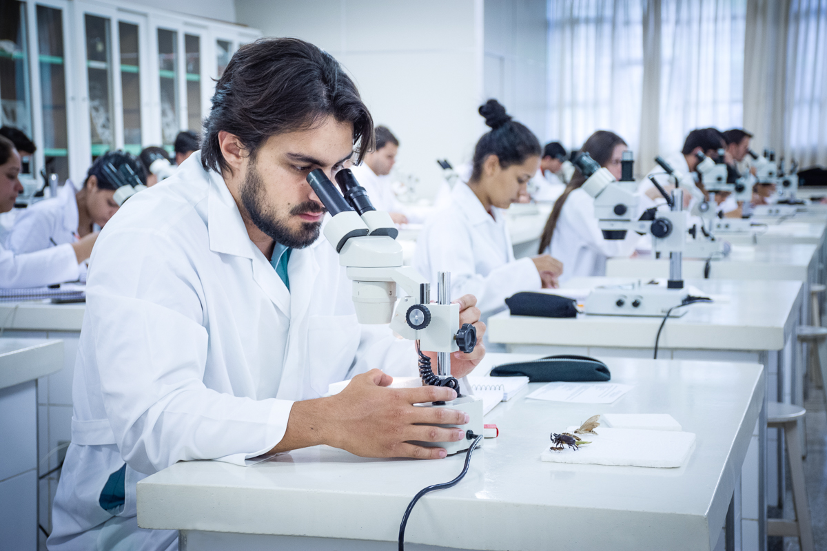 Laboratório de entomologia